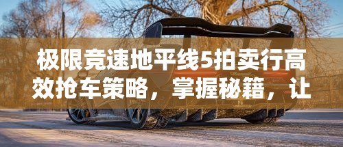 極限競(jìng)速地平線5拍賣(mài)行高效搶車(chē)策略，掌握秘籍，讓夢(mèng)想座駕輕松收入囊中