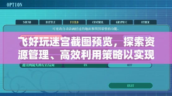 飛好玩迷宮截圖預(yù)覽，探索資源管理、高效利用策略以實(shí)現(xiàn)價值最大化