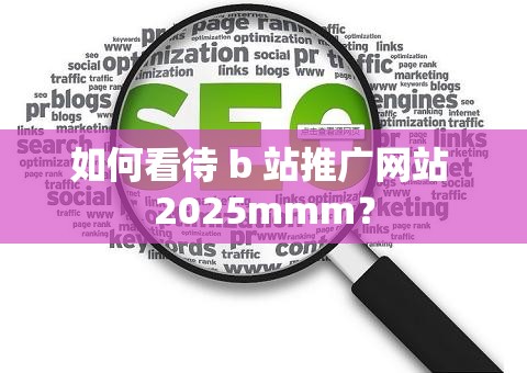 如何看待 b 站推廣網(wǎng)站 2025mmm？