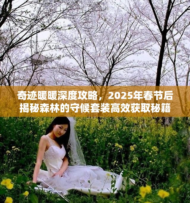 奇跡暖暖深度攻略，2025年春節(jié)后揭秘森林的守候套裝高效獲取秘籍