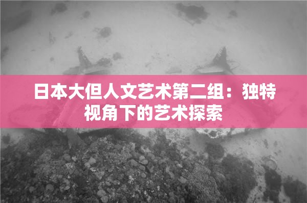 日本大但人文藝術(shù)第二組：獨(dú)特視角下的藝術(shù)探索