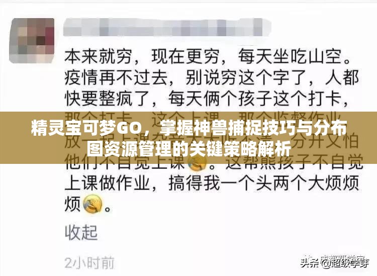 精靈寶可夢GO，掌握神獸捕捉技巧與分布圖資源管理的關(guān)鍵策略解析