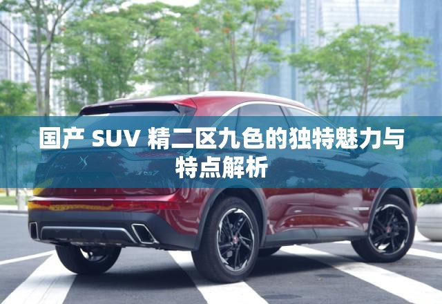 國產(chǎn) SUV 精二區(qū)九色的獨(dú)特魅力與特點(diǎn)解析