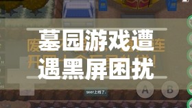 墓園游戲遭遇黑屏困擾？別擔(dān)心，這里有專業(yè)妙招助你快速解決！