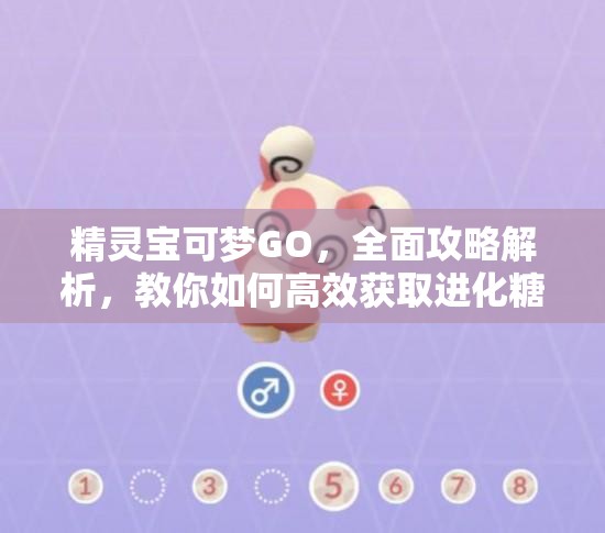 精靈寶可夢GO，全面攻略解析，教你如何高效獲取進(jìn)化糖果