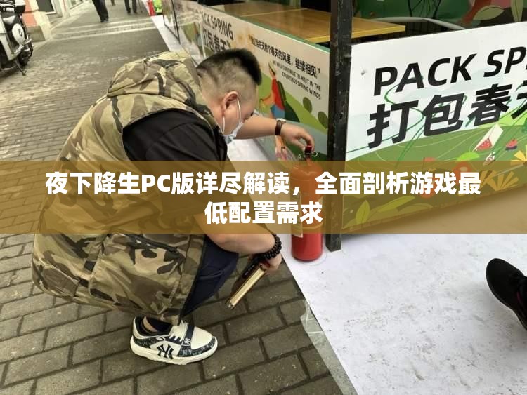 夜下降生PC版詳盡解讀，全面剖析游戲最低配置需求