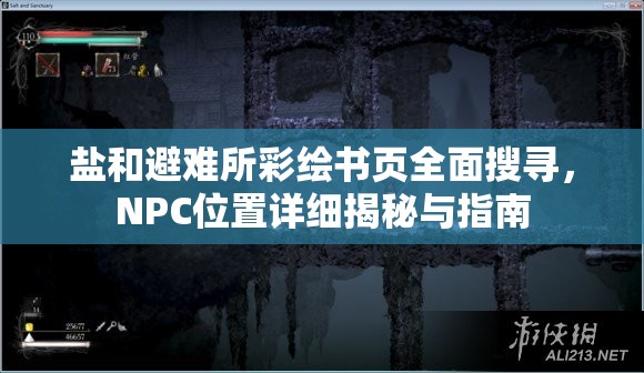 鹽和避難所彩繪書頁全面搜尋，NPC位置詳細揭秘與指南