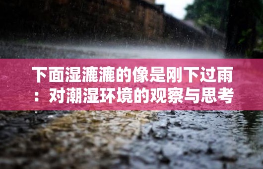 下面濕漉漉的像是剛下過雨：對潮濕環(huán)境的觀察與思考