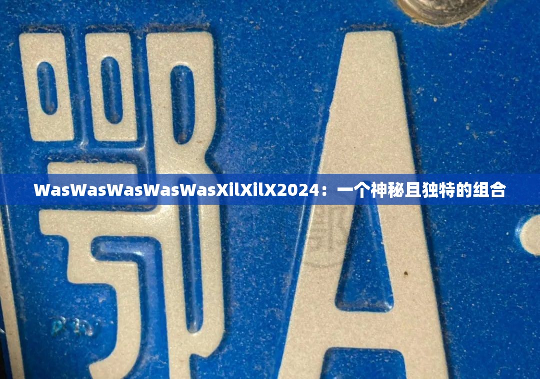 WasWasWasWasWasXilXilX2024：一個神秘且獨特的組合