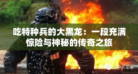 吃特種兵的大黑龍：一段充滿驚險與神秘的傳奇之旅