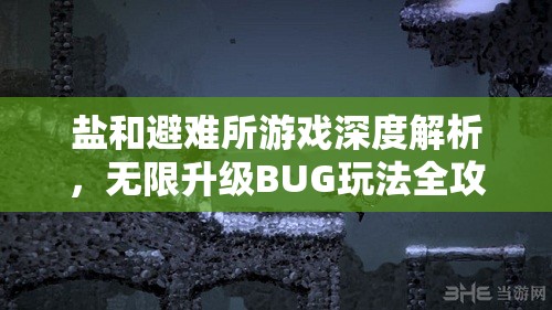 鹽和避難所游戲深度解析，無限升級BUG玩法全攻略