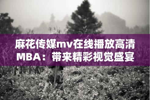 麻花傳媒mv在線播放高清MBA：帶來精彩視覺盛宴體驗(yàn)