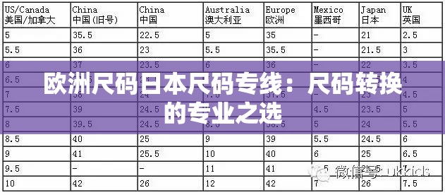 歐洲尺碼日本尺碼專線：尺碼轉(zhuǎn)換的專業(yè)之選