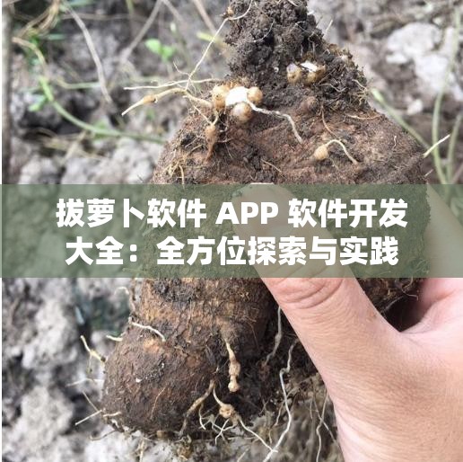 拔蘿卜軟件 APP 軟件開發(fā)大全：全方位探索與實(shí)踐