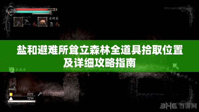 鹽和避難所聳立森林全道具拾取位置及詳細(xì)攻略指南