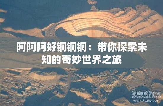 阿阿阿好銅銅銅：帶你探索未知的奇妙世界之旅