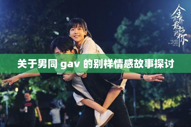 關于男同 gav 的別樣情感故事探討