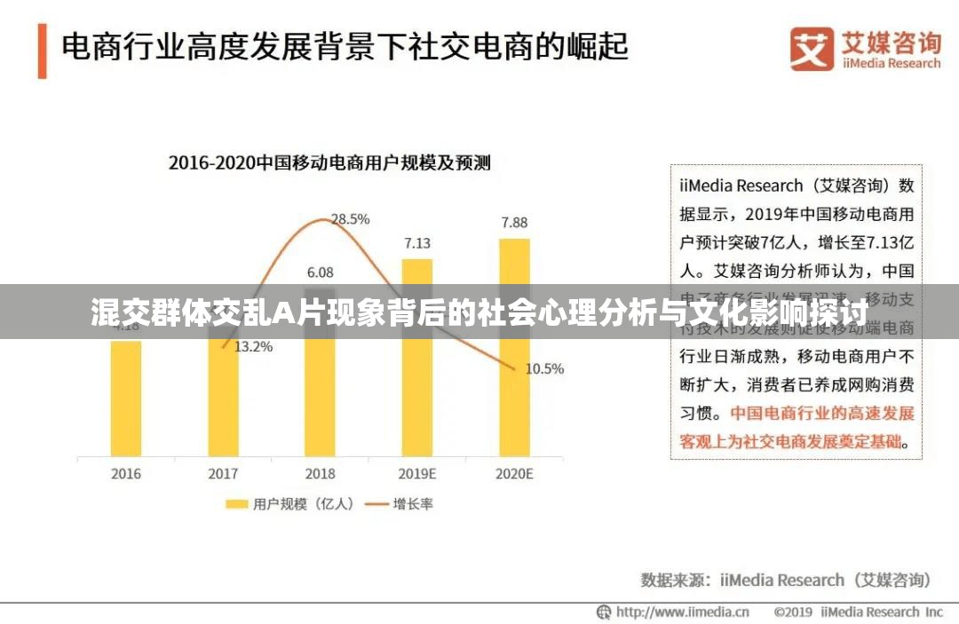 混交群體交亂A片現(xiàn)象背后的社會(huì)心理分析與文化影響探討