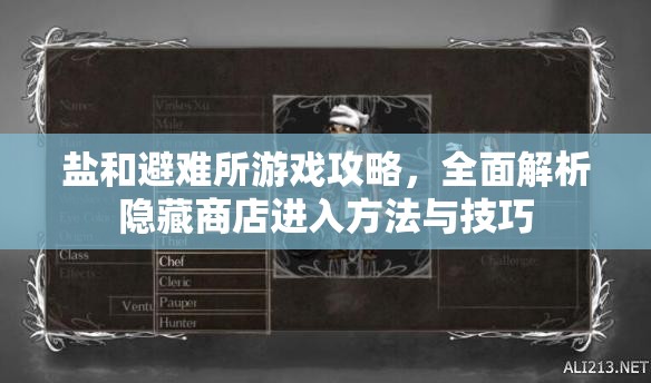 鹽和避難所游戲攻略，全面解析隱藏商店進(jìn)入方法與技巧