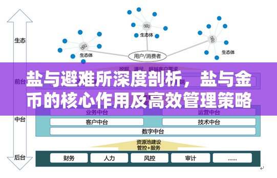 鹽與避難所深度剖析，鹽與金幣的核心作用及高效管理策略