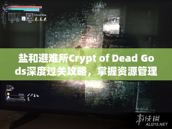 鹽和避難所Crypt of Dead Gods深度過關(guān)攻略，掌握資源管理的藝術(shù)與策略