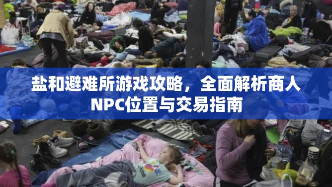 鹽和避難所游戲攻略，全面解析商人NPC位置與交易指南