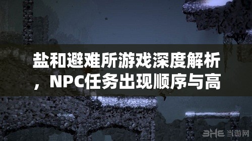 鹽和避難所游戲深度解析，NPC任務(wù)出現(xiàn)順序與高效資源管理策略