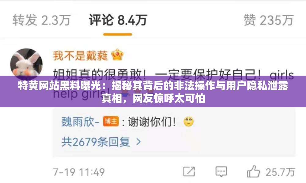 特黃網(wǎng)站黑料曝光：揭秘其背后的非法操作與用戶隱私泄露真相，網(wǎng)友驚呼太可怕